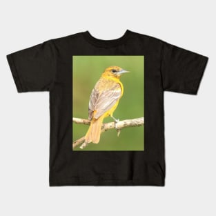 Baltimore Oriole bird with orange white feathers and green soft out of focus background Kids T-Shirt